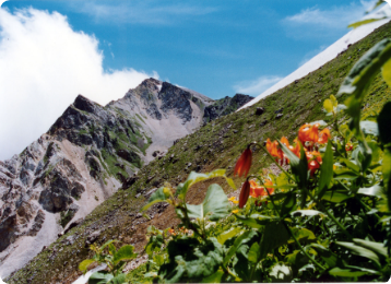 白馬登山